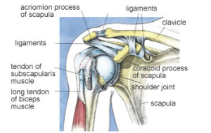 frozen shoulder